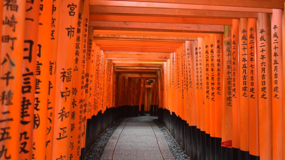photo of walkway between shinto shrine